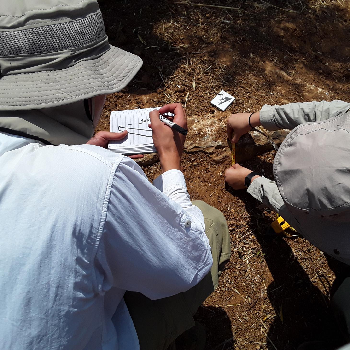 Archaeologists on site